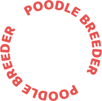 POODLE BREEDER